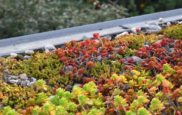 the cost of Dunstall green roof installation