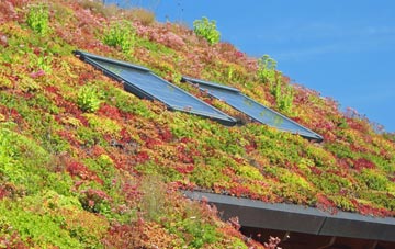 Dunstall living roof systems