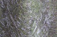 Dunstall fibreglass roof work